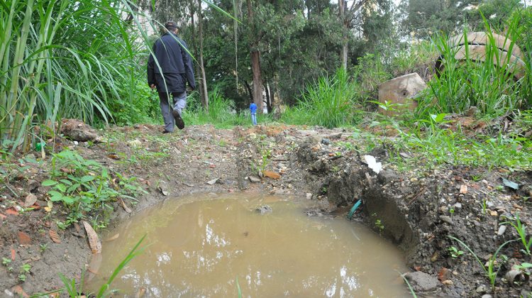 AGUAS NEGRAS NUEVOS TEQUES