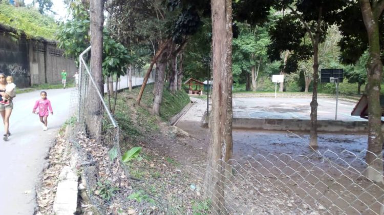 AP cancha los lagos