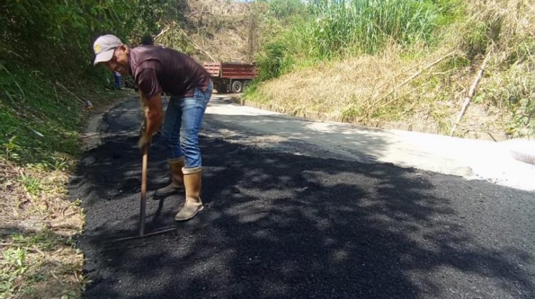 APLICAN 260 TONELADAS jpg