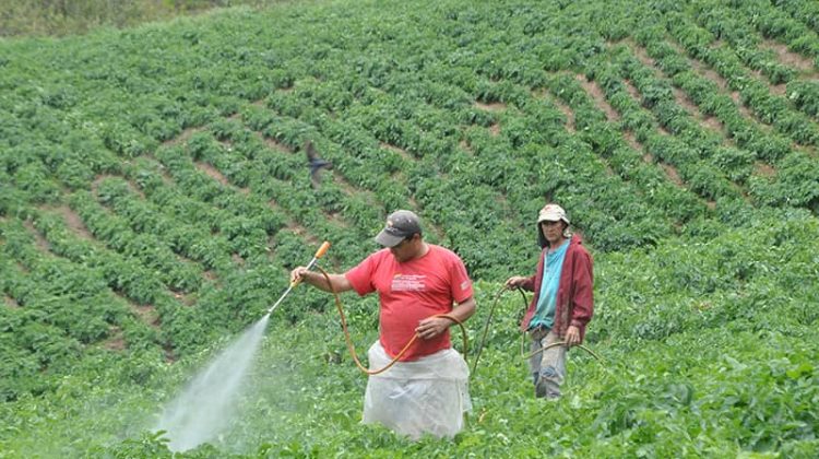 Agricultores