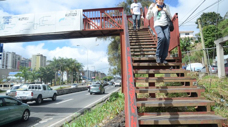 Alejandra Ávila - Galería Las Américas