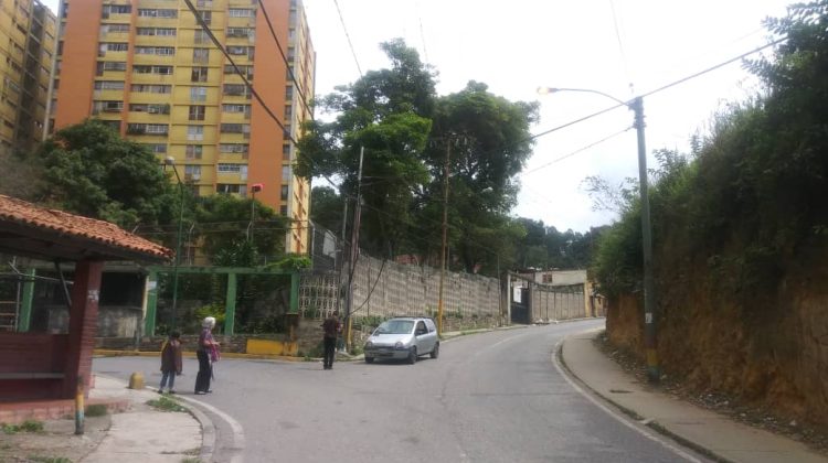 Alumbrado Ramo verde