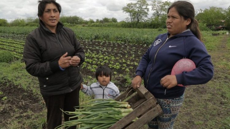 Argentina-agricultura