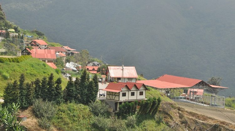 Aseguran