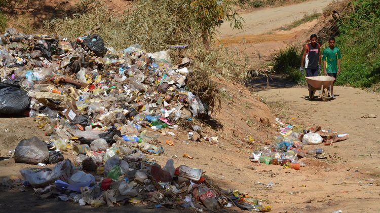 BASURA LOS PINOS