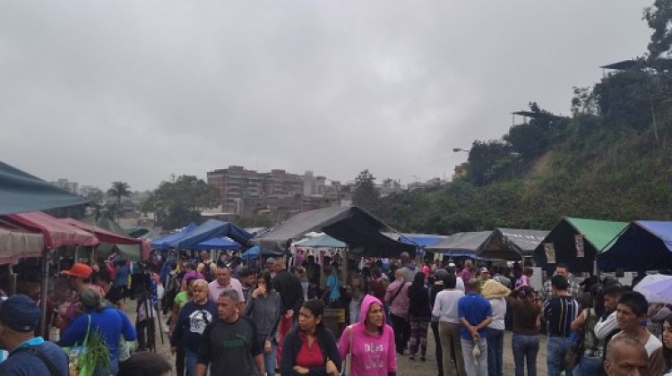 Bastante concurrido estuvo el mercado la mañana de este domingo