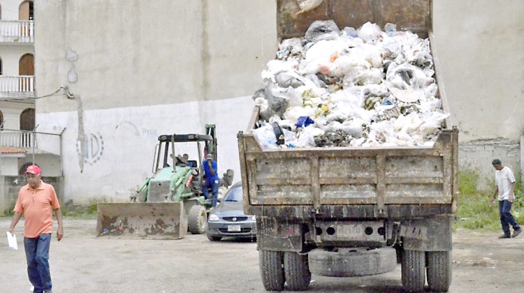 Basura Carrizal