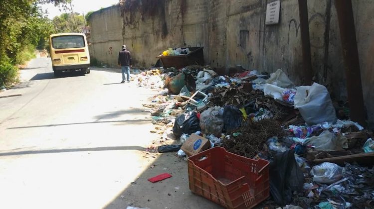 Basura Los Lagos