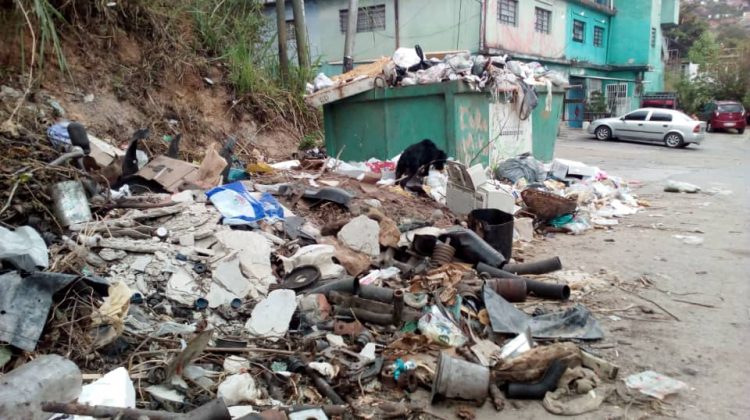 Basura calle salias.