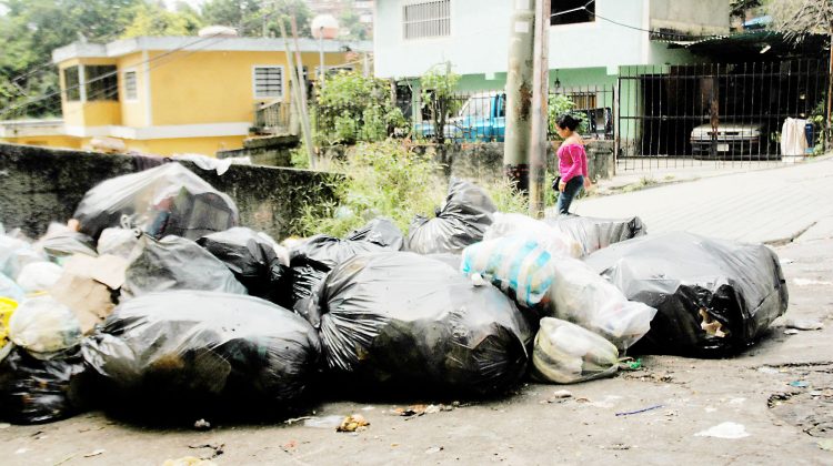 Basura el Trigo