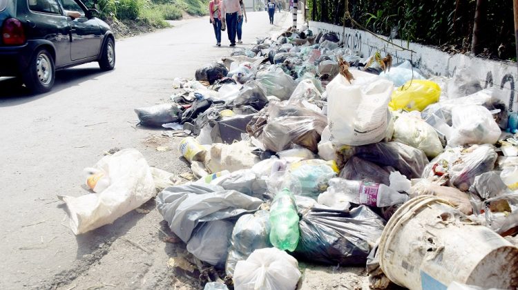 Basura en santa rosa 2