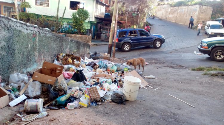 Basura en trigo dorado