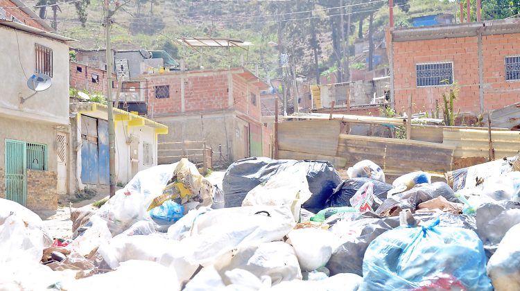 Basura los pinos