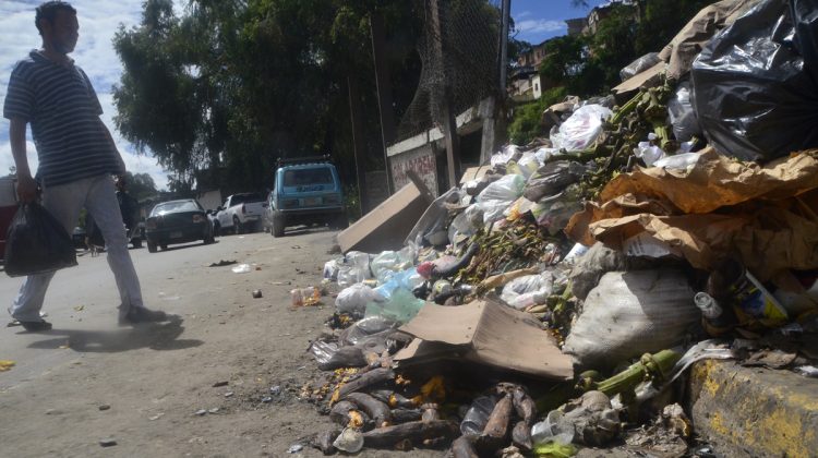Basura mercado el paso