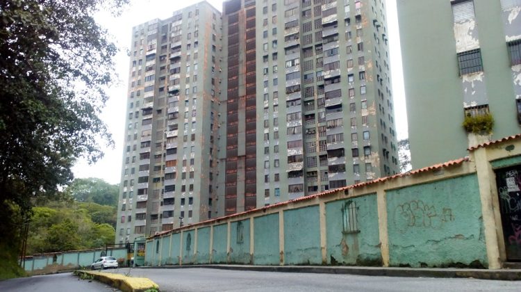 Bosque dorado