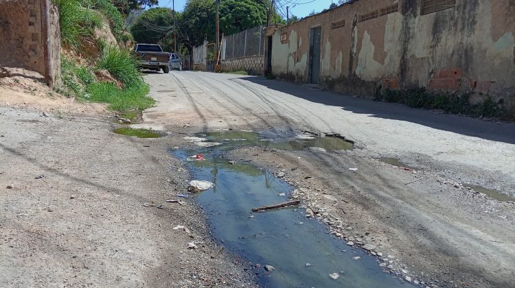 Bote-de-aguas-servidas-Ramo-Verde