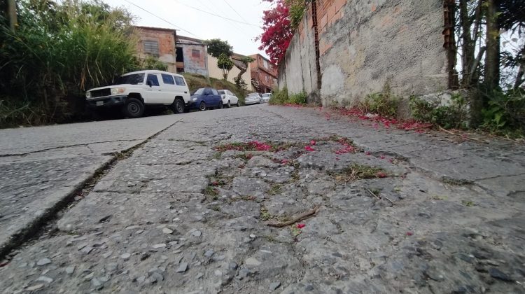 Brisas de Palo Alto