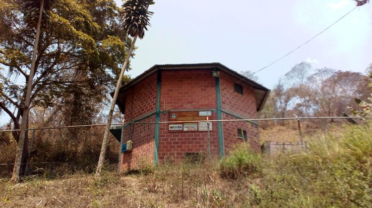 CDI RAMO VERDE1