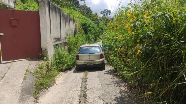 Calle Los Mangos