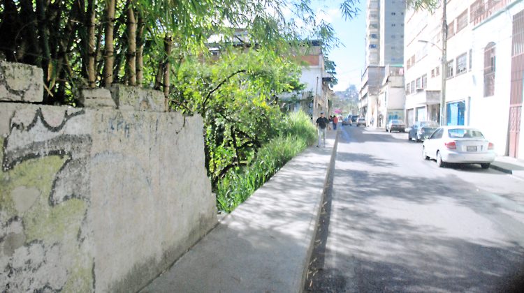 Calle Ribas