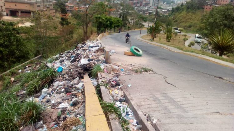 Calle arvelo