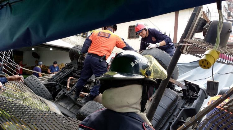 Camion se precipitó a tierra