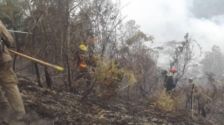 Captura de pantalla 2019-04-09 a las 10.07.17