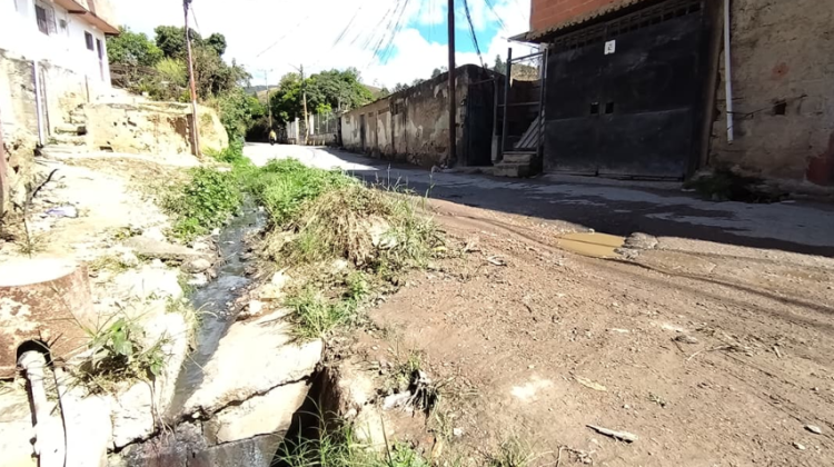 Captura de pantalla 2026-01-16 181147