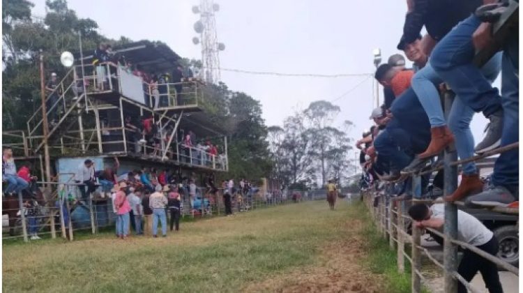 Captura de pantalla (88)