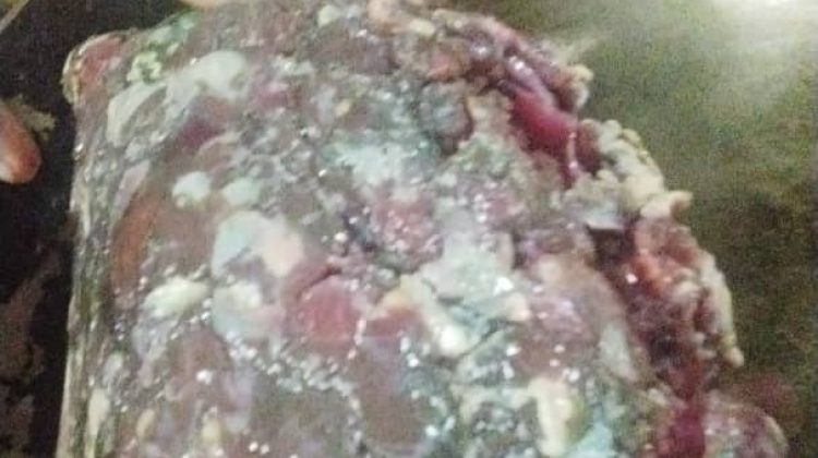Carne-podrida