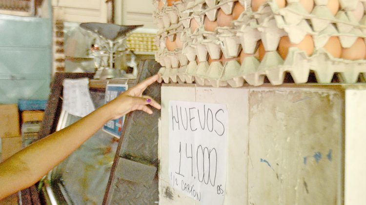 Carton de huevos