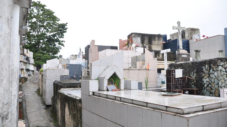Cementerio Carrizal 1