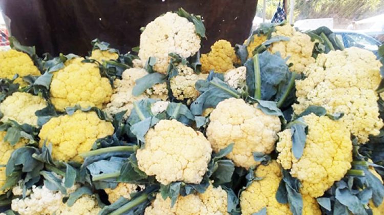 Coliflor