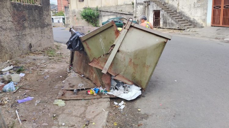 Contenedor Cascarita