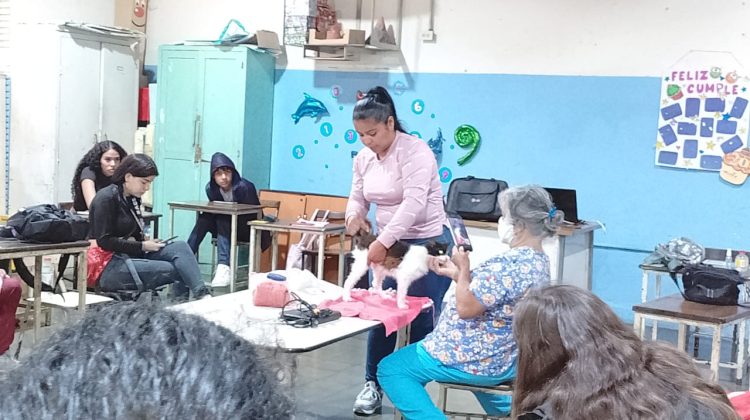 Curso