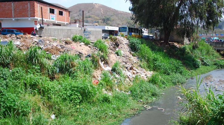 DL-BASURA CAE AL RIO