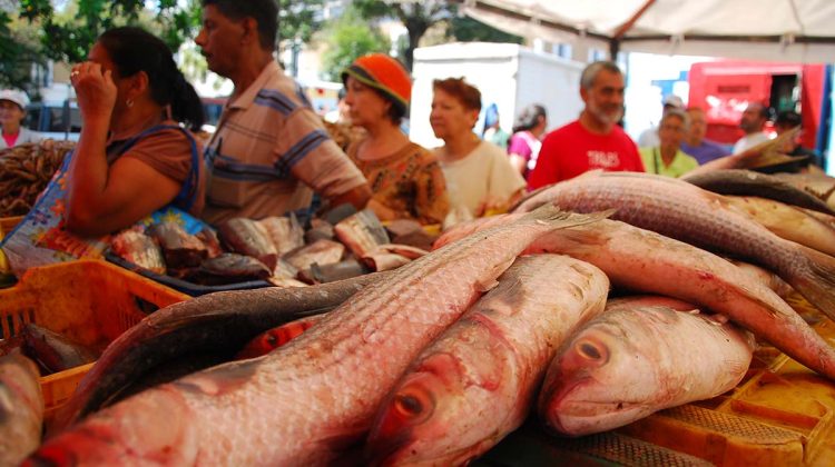 DL-FERIA DE PESCADO