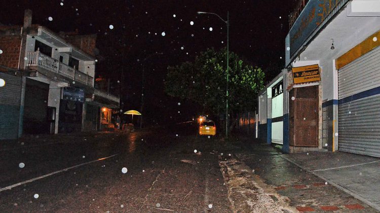 dsc_1995
