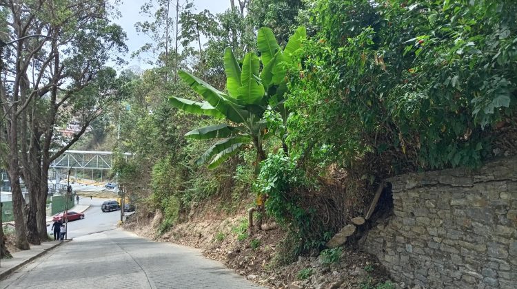 Deslizamiento de tierra Colinas de Carrizal