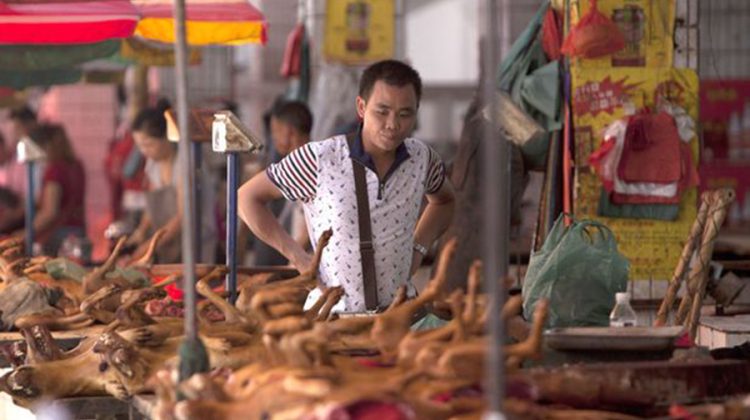 Dog-meat-on-sale-at-a-market-in-Yulin