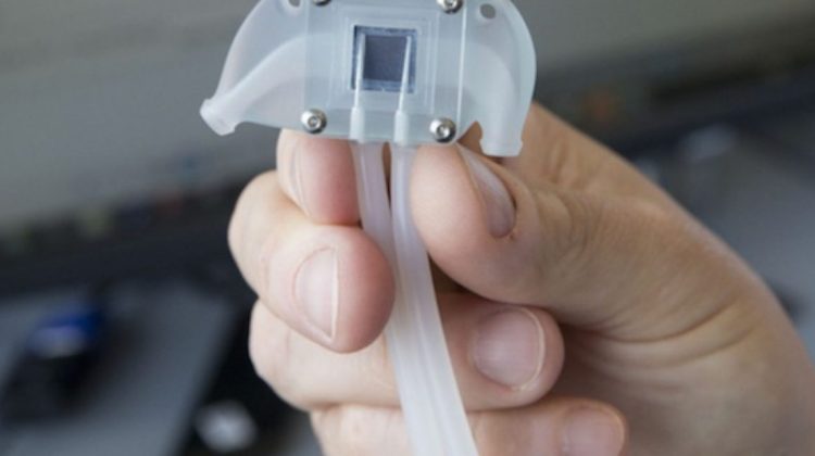 El dispositivo posee elementos electrónicos, orgánicos y su tamaño es el mismo que el órgano original.