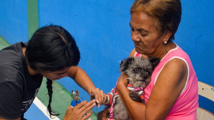 En Carrizal también habrá jornada para consentir a los peluditos