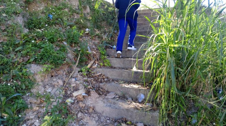 Escaleras Bomberos de San Antonio (3)