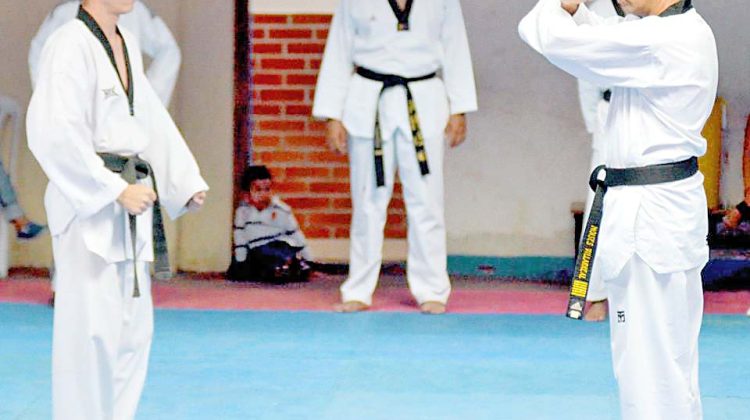 Especialistas del TKD en plena actividad académica