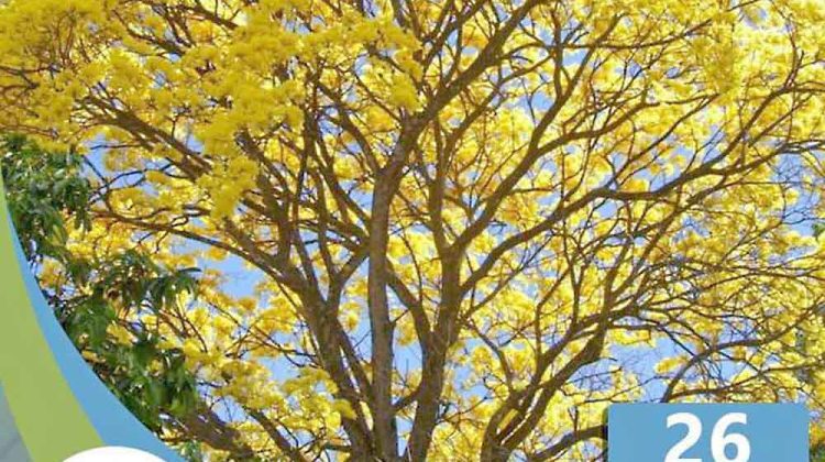 Este domingo se celebra el Día Nacional del Árbol