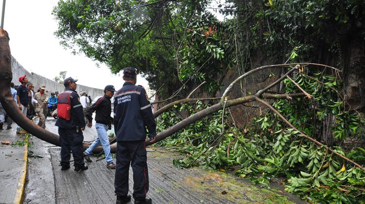 FANNY ROMERO- CAE RAMA EN LA VIA CARRETERA VIEJA LOS TEQUES A CAUSA DE LA LLUVIA