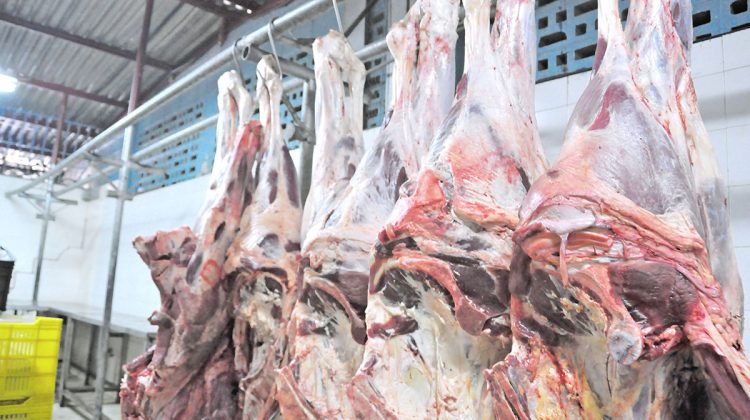 FANNY ROMERO- LLEGA CARNE AL MERCADO EL PASO PARA  EL OPERATIVO DEL MIERCOLES