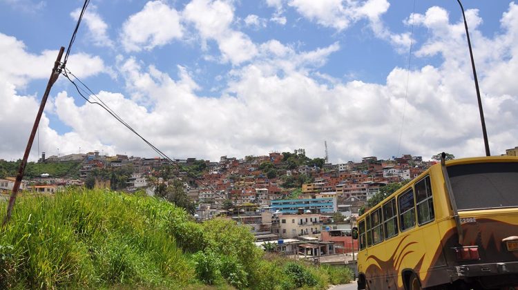 Fallas en el alumbrado y maleza ocultan a los choros