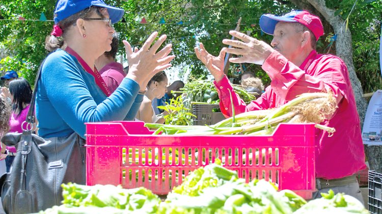 Mas Vida. Feria Agrourbana, en el Parque Ali Primera. Osmary Rivas. 05/06/2016