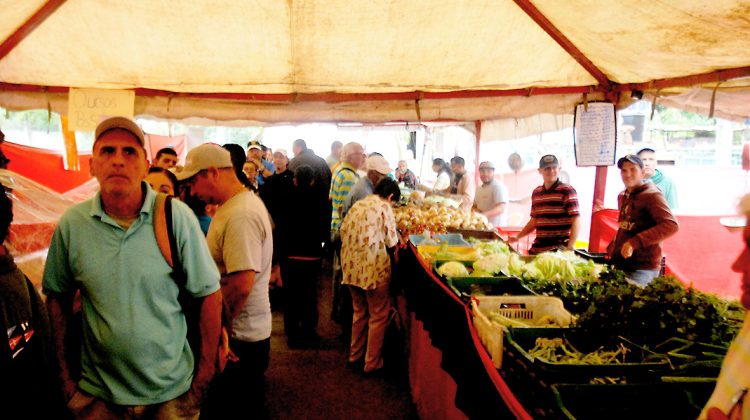 Feria socialista Guaicaipuro